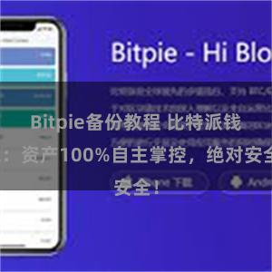 Bitpie备份教程 比特派钱包：资产100%自主掌控，绝对安全！