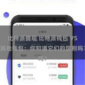 比特派提现 比特派钱包 VS 其他钱包：你知道它们的区别吗？