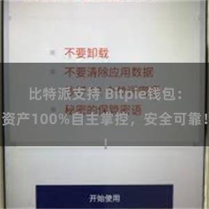 比特派支持 Bitpie钱包：资产100%自主掌控，安全可靠！