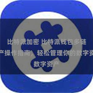 比特派加密 比特派钱包多链资产操作指南，轻松管理你的数字资产