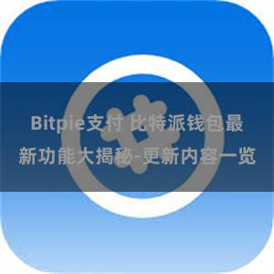 Bitpie支付 比特派钱包最新功能大揭秘-更新内容一览