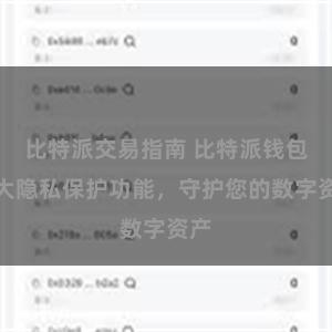 比特派交易指南 比特派钱包强大隐私保护功能，守护您的数字资产
