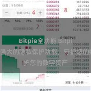 Bitpie全功能 Bitpie钱包：强大的隐私保护功能，守护您的数字资产