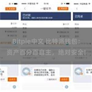 Bitpie中文 比特派钱包：资产百分百自主，绝对安全!