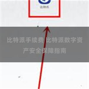 比特派手续费 比特派数字资产安全保障指南