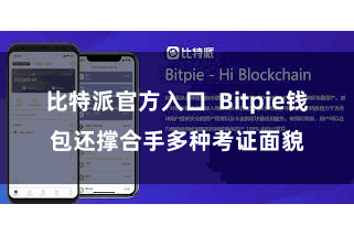 比特派官方入口  Bitpie钱包还撑合手多种考证面貌