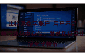 比特派数字账户  用户不错在比特派钱包中存储、发送和接受比特币