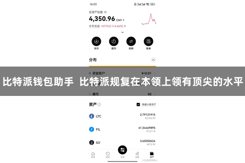 比特派钱包助手  比特派规复在本领上领有顶尖的水平