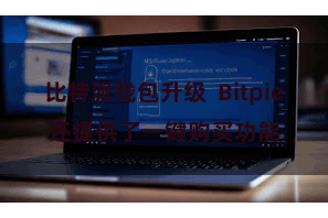 比特派钱包升级  Bitpie还提供了一键购买功能
