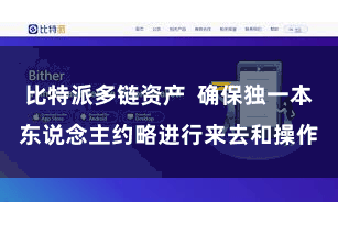 比特派多链资产  确保独一本东说念主约略进行来去和操作