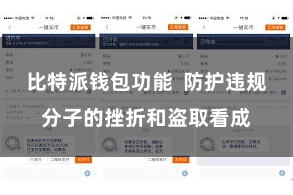 比特派钱包功能  防护违规分子的挫折和盗取看成