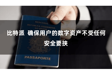 比特派  确保用户的数字资产不受任何安全要挟
