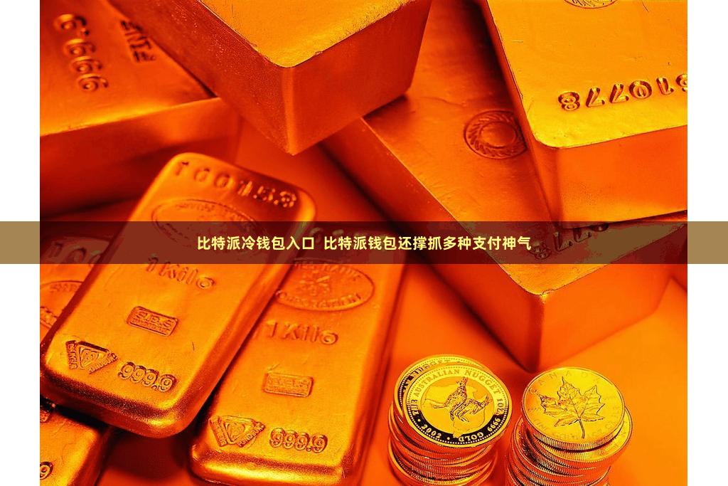 比特派冷钱包入口  比特派钱包还撑抓多种支付神气